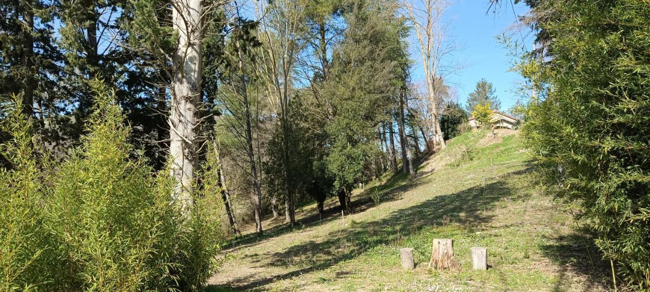 דירות Mombaroccio Casale La Pineta מראה חיצוני תמונה
